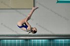 Maddy Morrison  Wheaton College Women's diver Maddy Morrison competes against Babson College, January 11, 2020. - Photo By: KEITH NORDSTROM : Wheaton, Swimming, Maddy Morrison